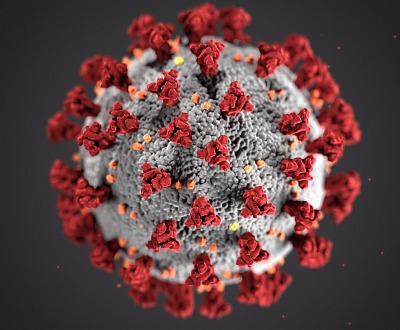 Corona Virus