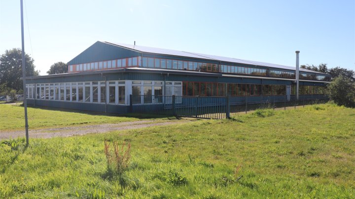 Schleswig St.Jürgen: Solide Produktions- und Lagerhalle zu erwerben! OTTO STÖBEN!