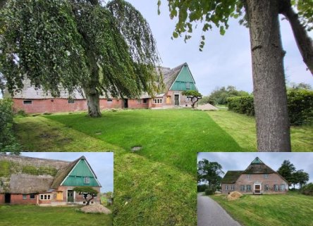 Gesamtansicht Sommerland neu