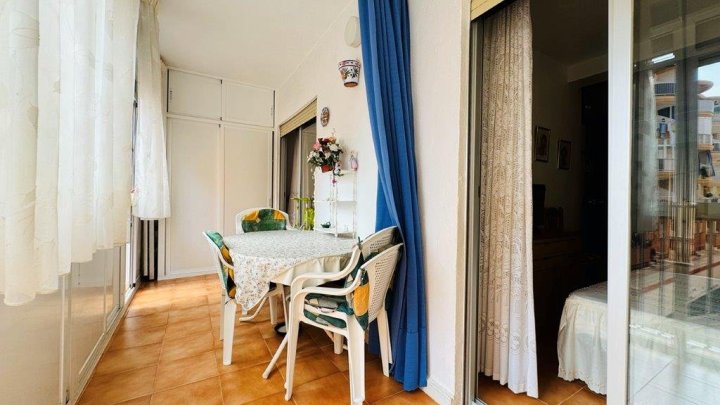 Appartement mit 1 Schlafzimmer und 1 Bad im Zentrum von La Mata nur 300 m vom Strand