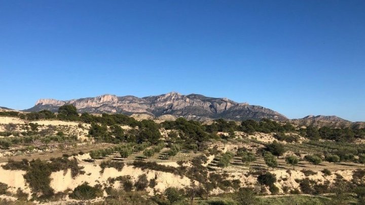 Finca mit einem Grundstück von 17.000 m² und einer Villa zur Fertigstellung von ca. 500 m² in einer sehr schönen Landschaft!