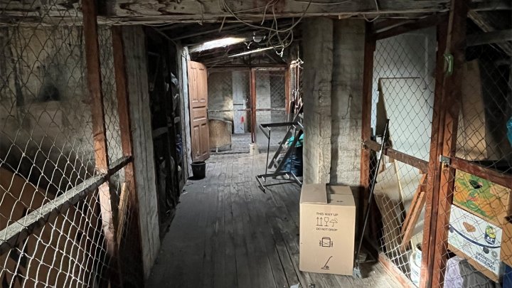 Mehrfamilienhaus mit Gewerbeeinheit in Kiel-Gaarden! OTTO STÖBEN GmbH