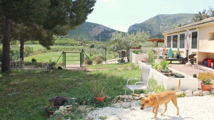 Charmante Rustikale Finca mit Großem Grundstück in Naturnaher Lage