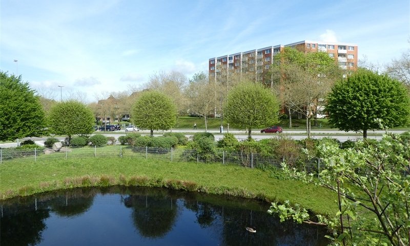 Kiel-Südfriedhof: Renovierungsbedürftige 2-Zimmer-Wohnung im 8.OG mit Balkon + herrlichem Weitblick