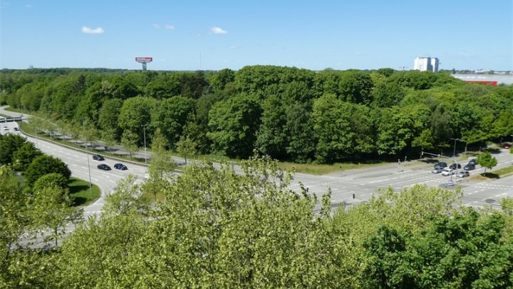 Kiel-Südfriedhof: Renovierungsbedürftige 2-Zimmer-Wohnung im 8.OG mit Balkon + herrlichem Weitblick