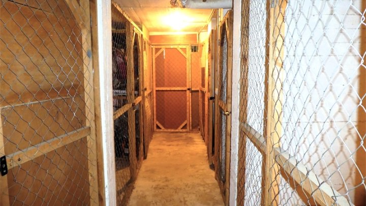 Kiel-Südfriedhof: Renovierungsbedürftige 2-Zimmer-Wohnung im 8.OG mit Balkon + herrlichem Weitblick