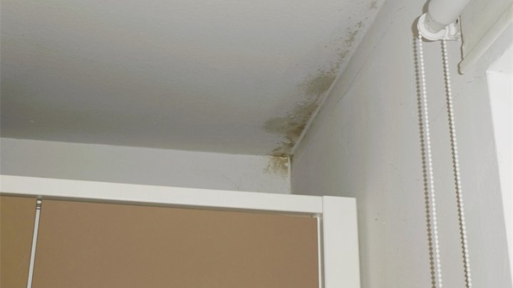 Ostseebad Schönberg: Unbefristet vermietete 3-Zimmer-Wohnung mit Balkon und Stellplatz