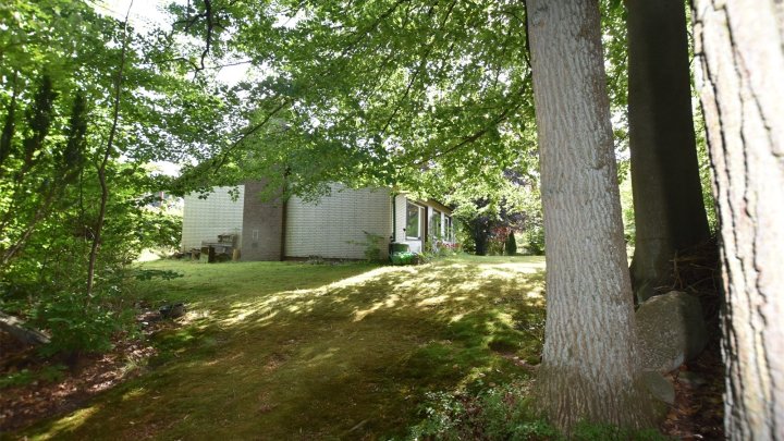 Naturnahes Wohnen, EFH, Bungalow + Garten + Waldgrundstück in Mölln Waldstadt - OTTO STÖBEN GmbH