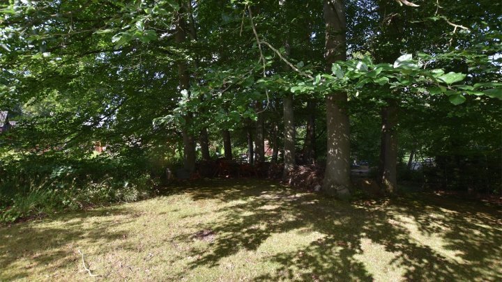 Naturnahes Wohnen, EFH, Bungalow + Garten + Waldgrundstück in Mölln Waldstadt - OTTO STÖBEN GmbH