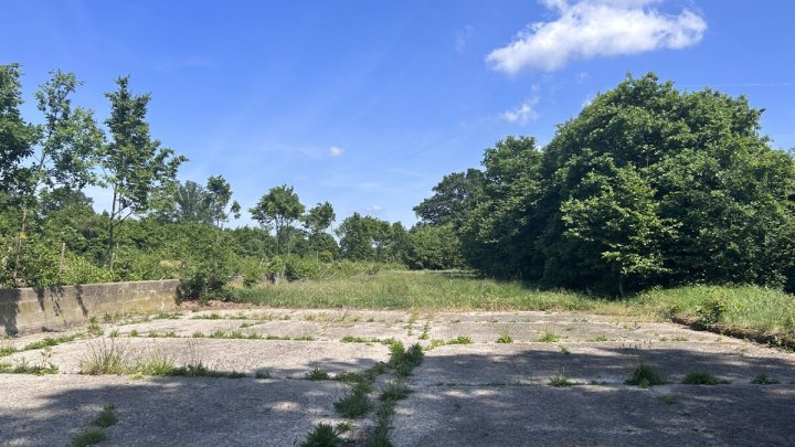 Vielseitiger Resthof mit 2 Wohneinheiten zwischen HH-Norderstedt - Neumünster OTTO STÖBEN GmbH