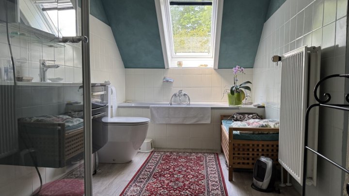 Ehemalige Dorfschule mit historischem Flair, modernem Wohnkomfort und parkähnliche