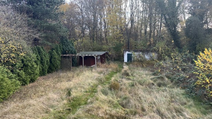 Seltene Gelegenheit: EFH in Suchsdorf mit großem Garten - OTTO STÖBEN GmbH