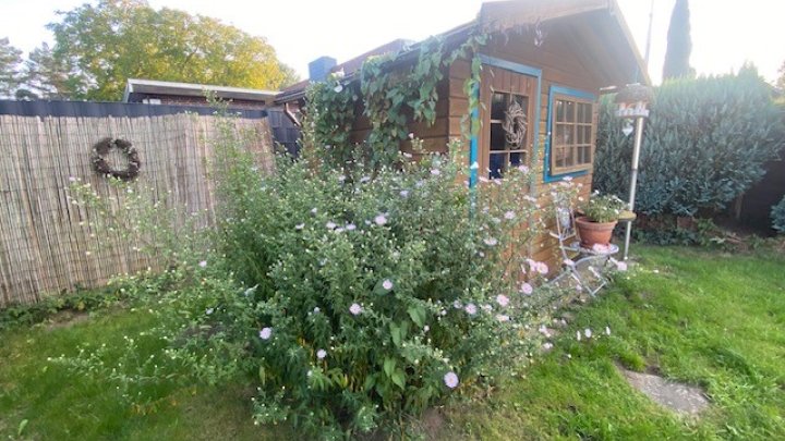 Wohnung im Bungalowstil mit Garten und Stellplatz in Norderstedt! Otto Stöben GmbH