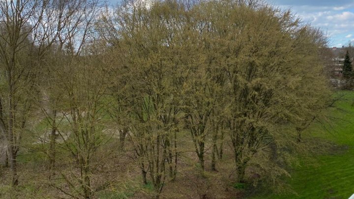 Helle 2 -Zimmer + 2 halbe Zimmer mit Balkon in Uni-Nähe