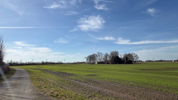 Landsitz Alleinlage in der Nähe von Wilster teilweise unter Reet Otto Stöben GmbH
