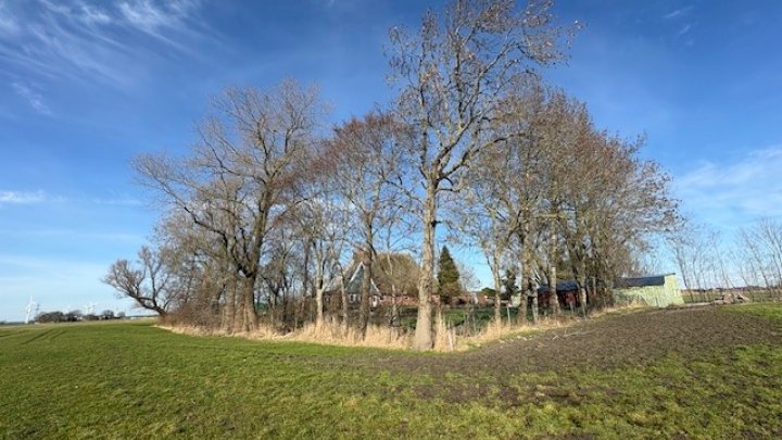 Landsitz Alleinlage in der Nähe von Wilster teilweise unter Reet Otto Stöben GmbH