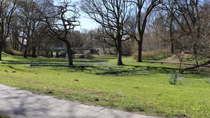 Prestige in St. Jürgen: Klassisches Mehrfamilienhaus in begehrter Lage von Lübeck! OTTO STÖBEN!