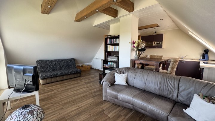 Großzügige Immobilie mit 294,3 m² Wohnfläche & traumhaftem Grundstück – ideal für 4 Parteien