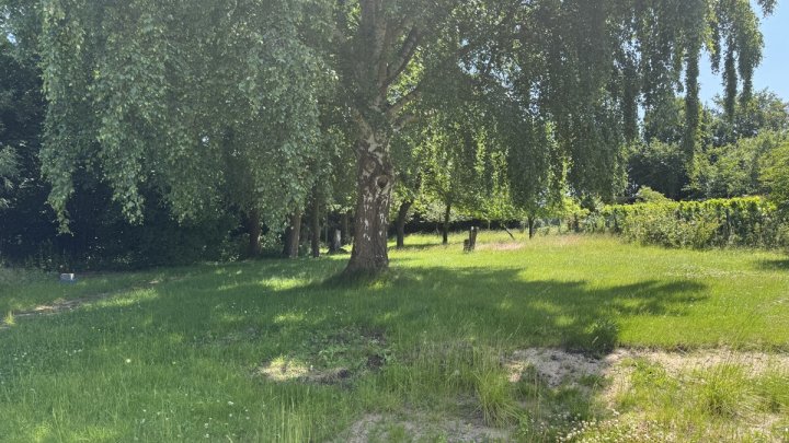 Großzügige Immobilie mit 294,3 m² Wohnfläche & traumhaftem Grundstück – ideal für 4 Parteien